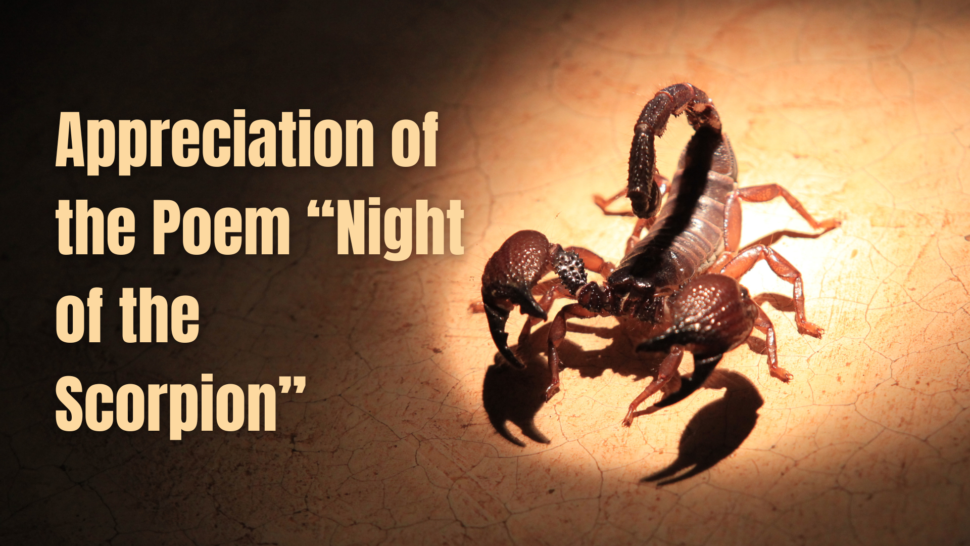 Appreciation of the Poem “Night of the Scorpion”