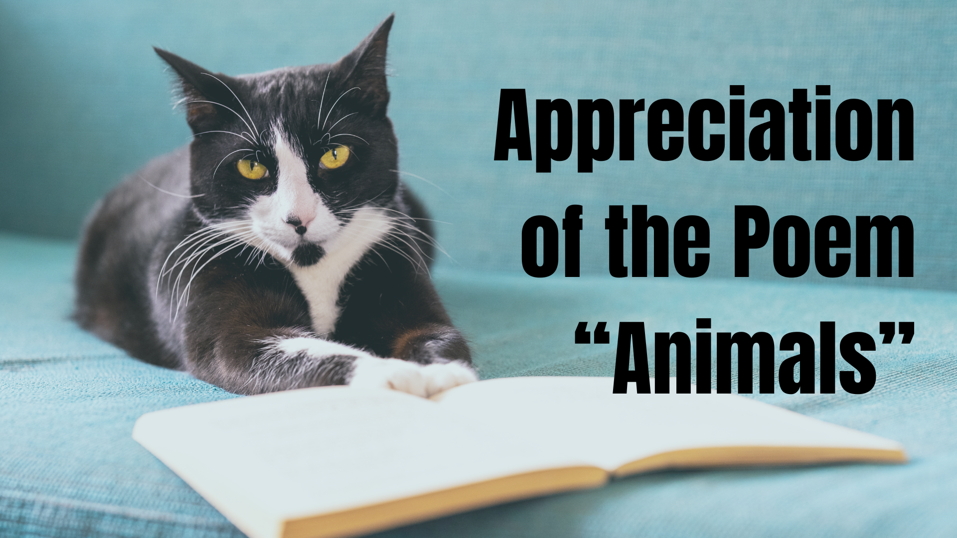 Appreciation of the Poem “Animals”