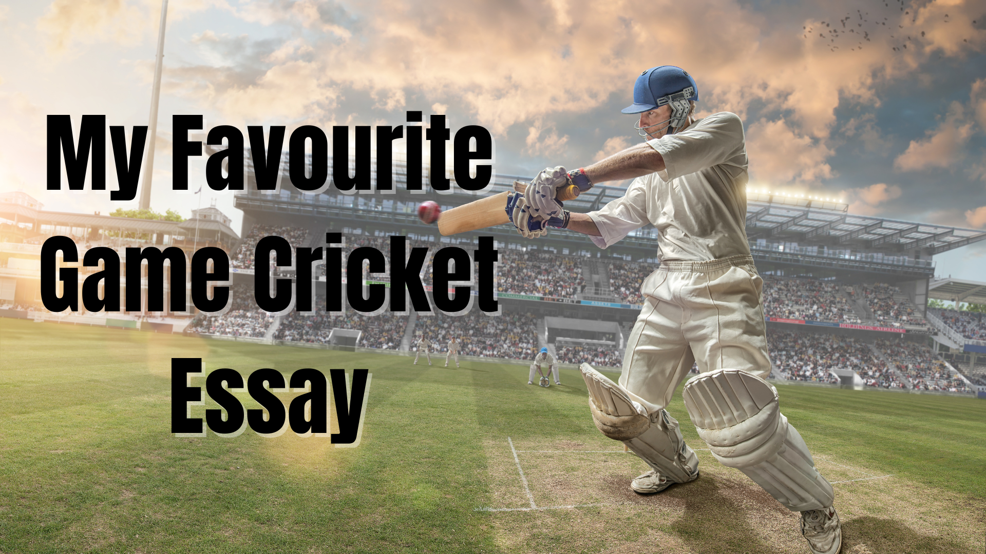 My Favourite Game Cricket Essay